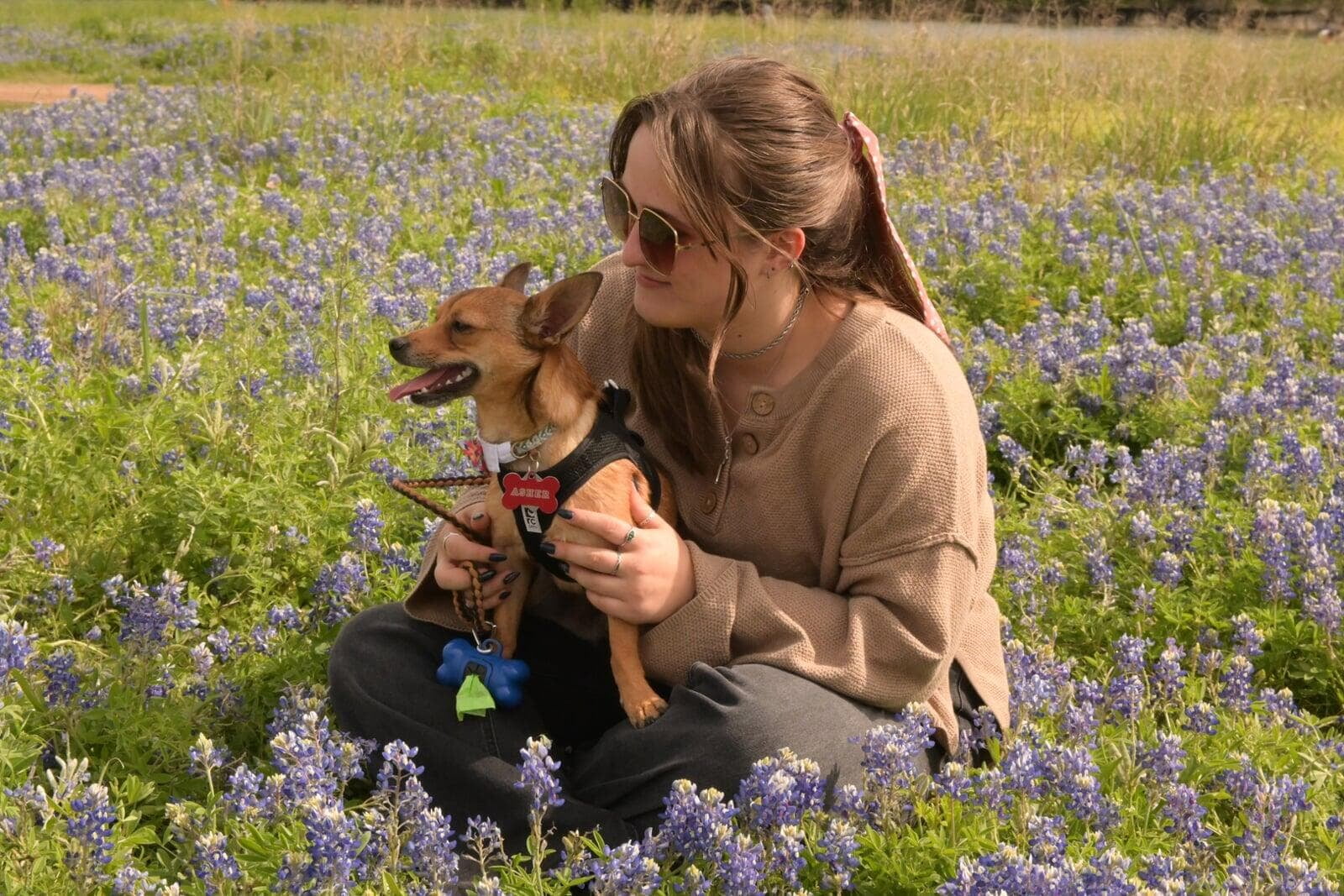 Bluebonnet Mom and Puppy Portrait